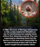 Beaver-Dam