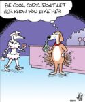 Off-the-Mark-tail