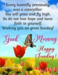 Sunday-3