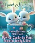 Sunday-2