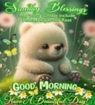 Sunday-4