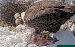 QQ20260224-165617