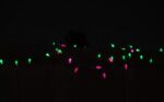 Screenshot_4
