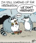 Off-the-Mark-hibernation