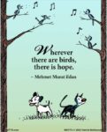 Mutts-birds
