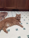 Buddy-Butters-1