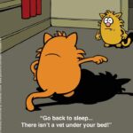 Learn-to-Speak-Cat-3-5-vet