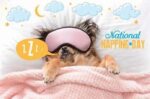 napping-day