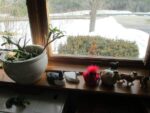 window-in-Washington-2014