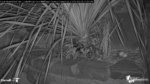 Zrzut-ekranu-59447