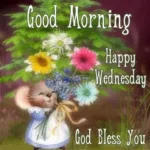 Wednesday-c