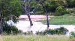 waterhole-beach