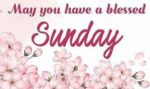 Sunday-d