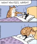 Off-The-Mark-warmth