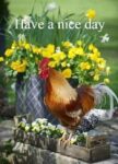 day