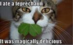 StPat-1