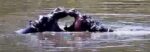 Screenshot_14