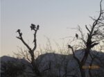 Screenshot_8