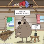 Tundra-Alexa