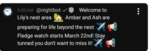 Screenshot-2026-03-20-4.48.30-PM