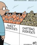 Off-the-Mark-potatoes