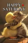 Saturday-b