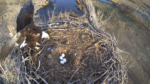 Screenshot-9993