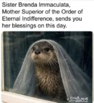 Otter-Blessings