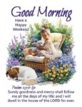 saturday-morning