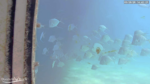 Screenshot-10517