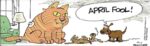 AprilFool-b