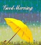 Rain-0b