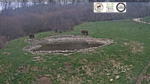 Zrzut-ekranu-60096