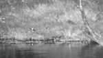 Zrzut-ekranu-60128