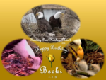 Becki