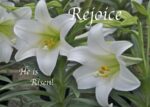 Easter_Rejoice-HeIsRisen_3