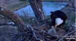 4-6-26-feeding