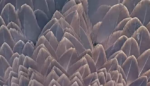 Screenshot-2026-04-06-6.38.49-PM