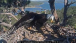 stretch