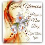 afternoon-c