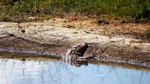 Zrzut-ekranu-60317