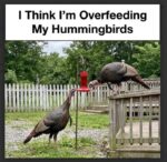 overfed