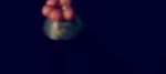 Screenshot-2026-04-10-7.16.17-PM