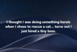 cat-tiny-boss