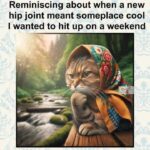 hip