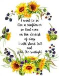 7-like-a-sunflower