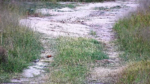 Zrzut-ekranu-60531