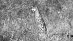 Zrzut-ekranu-60548