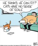 Off-the-Mark-scale