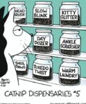 Off-the-Mark-dispensary